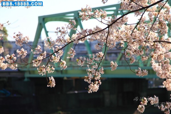 conew_dpp_0017.jpg