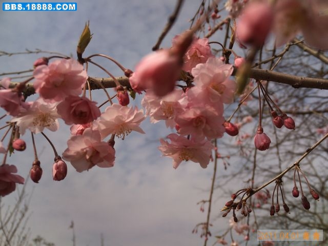 nEO_IMG_PICT3222.jpg