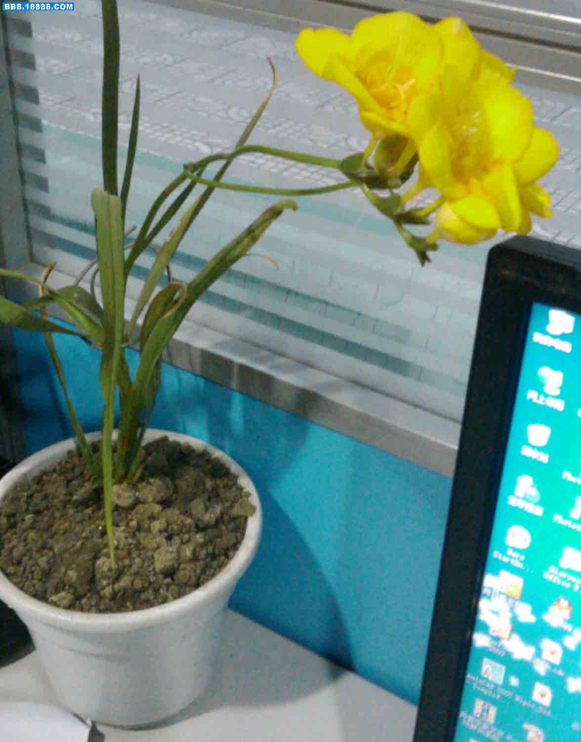 IMAG0084.jpg