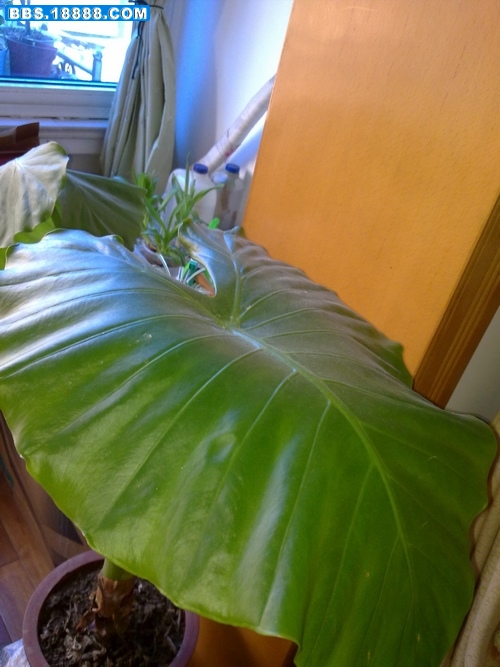 201103290331.jpg