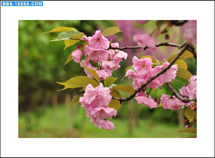 2010.3.31 011.jpg
