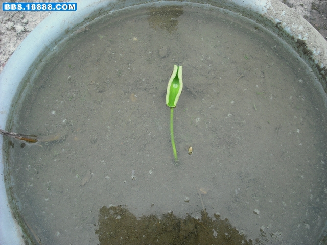 DSCF1977.JPG