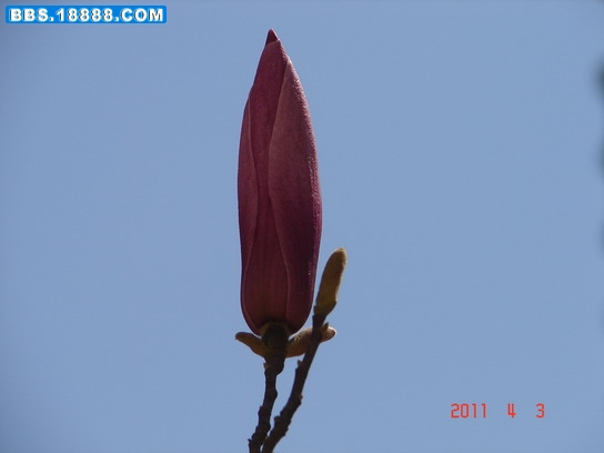 DSC07838_缩小大小.JPG