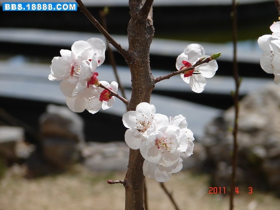 DSC07839_缩小大小.JPG