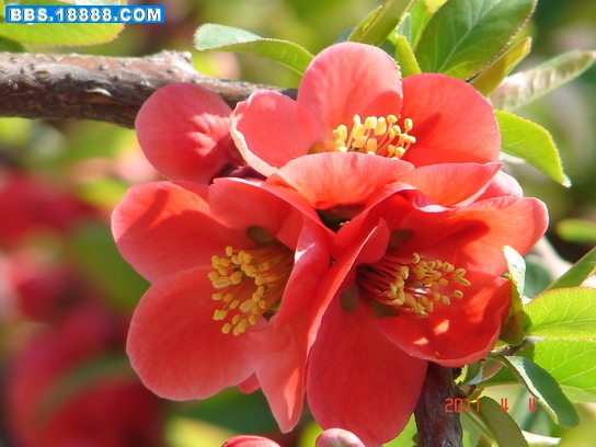 DSC07867_缩小大小.JPG