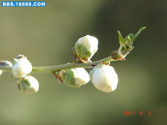 DSC07803_缩小大小.JPG