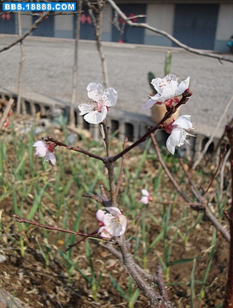 旋转 DSC01109.JPG