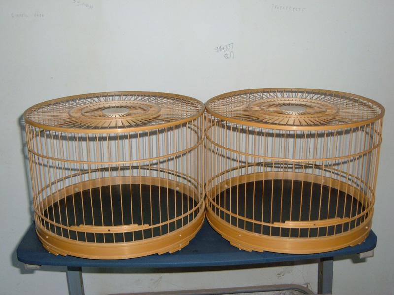 DSCF0869.JPG