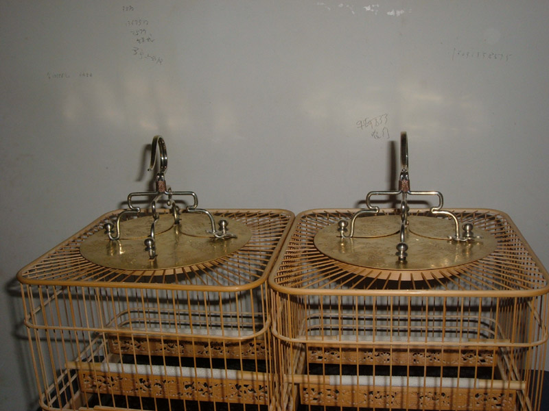 DSCF0876.JPG