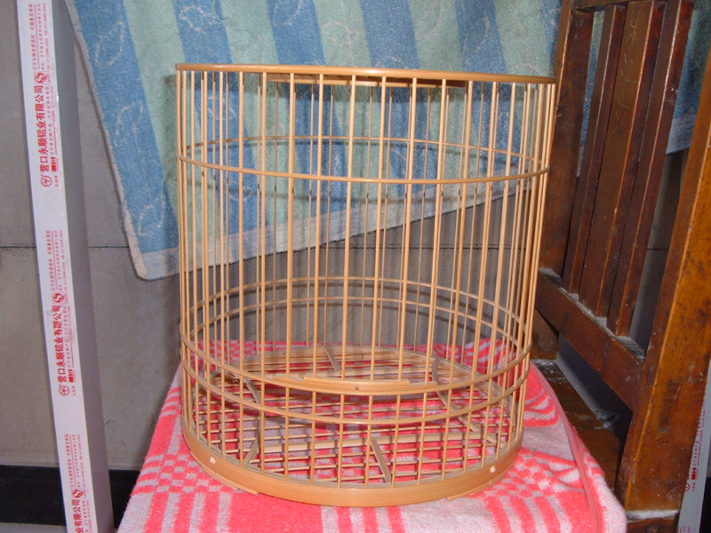 DSCF0894.JPG