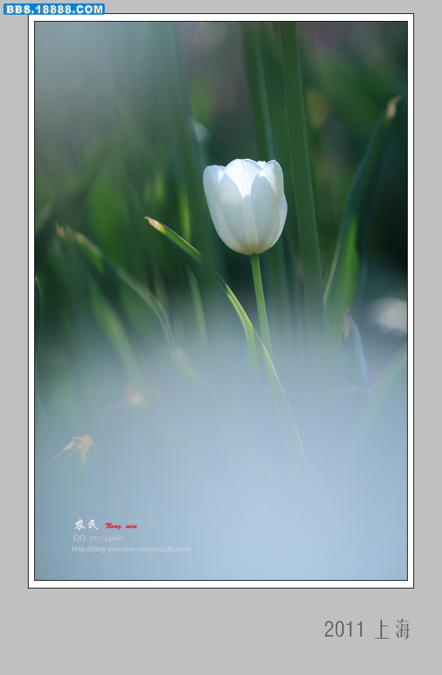 9073-2.jpg