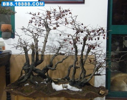 未命名2.jpg