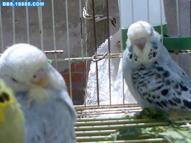 2011.4.5031.jpg