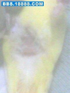 IMG0124A.jpg