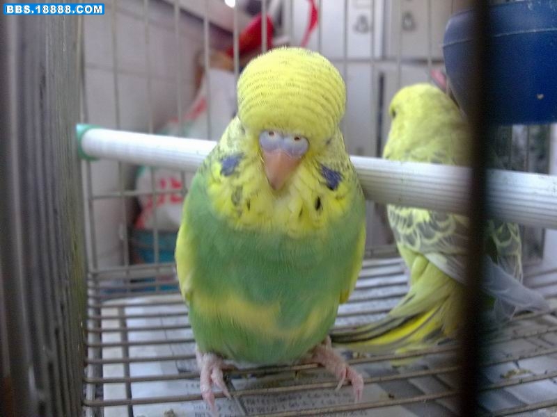 20110413757.jpg