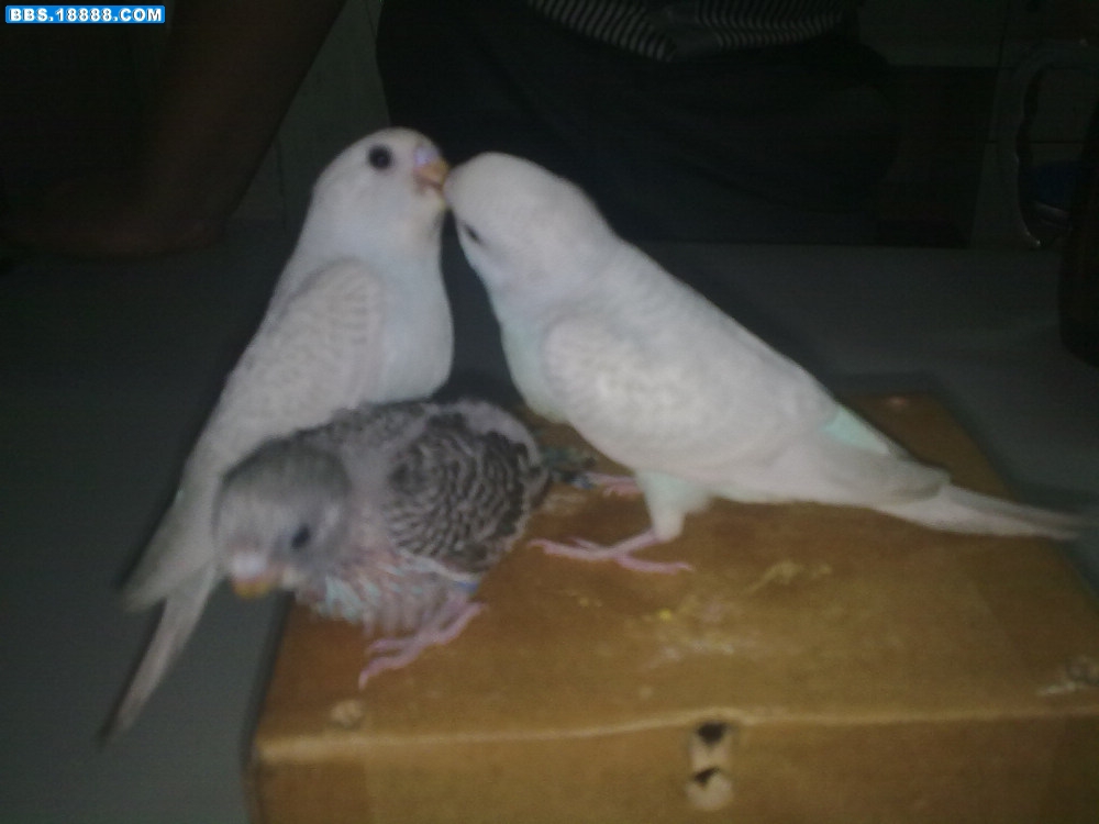 20110415024.jpg
