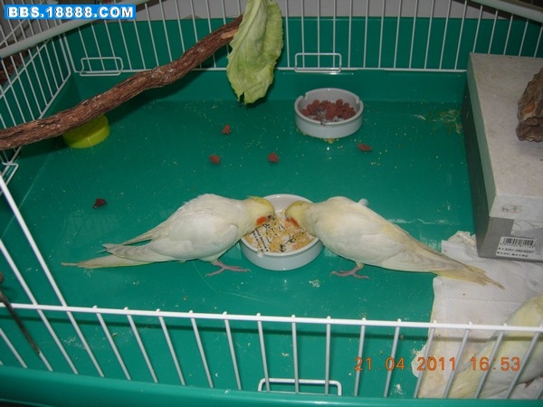 DSCN7733.JPG