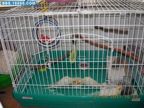 DSCN7734.JPG
