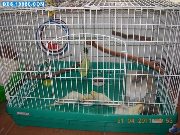 DSCN7736.JPG