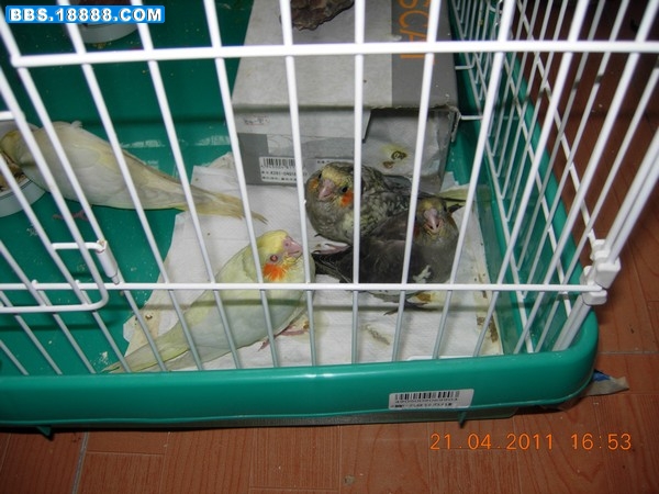 DSCN7735.JPG