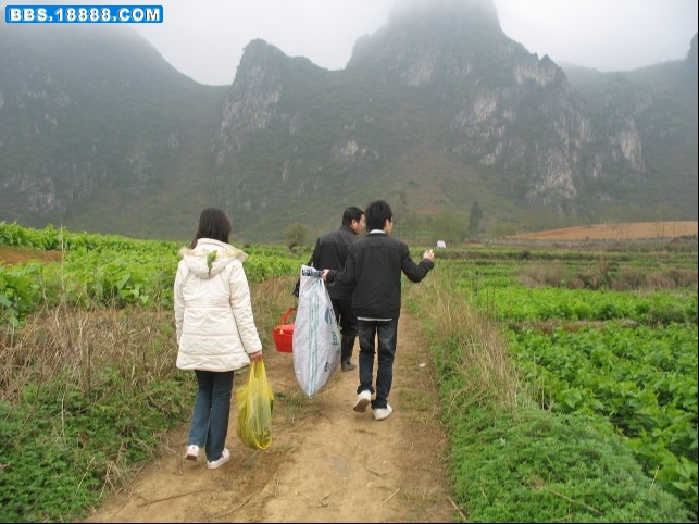 哥哥妹妹豆豆.jpg