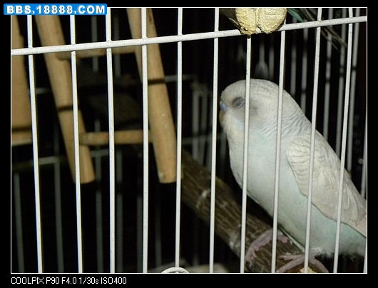 nEO_IMG_照片 002.jpg