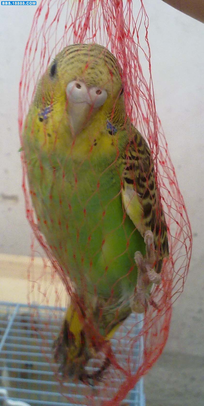 20110414434.jpg