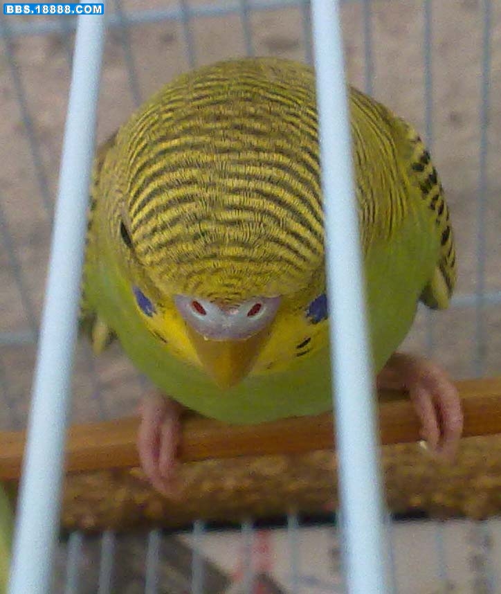 20110411409.jpg