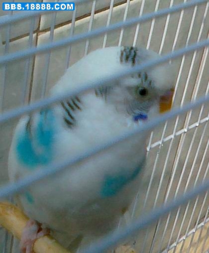 20110424228.jpg