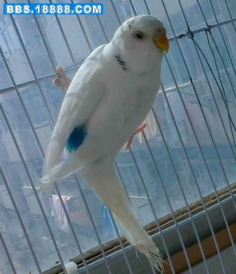 20110424215.jpg