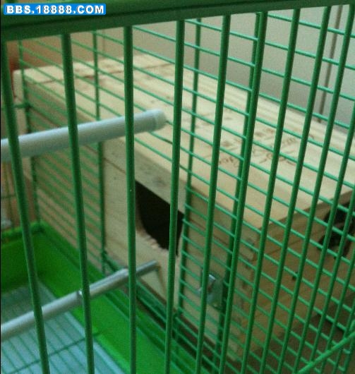 搜狗截图_2011-04-23_17-54-04.jpg