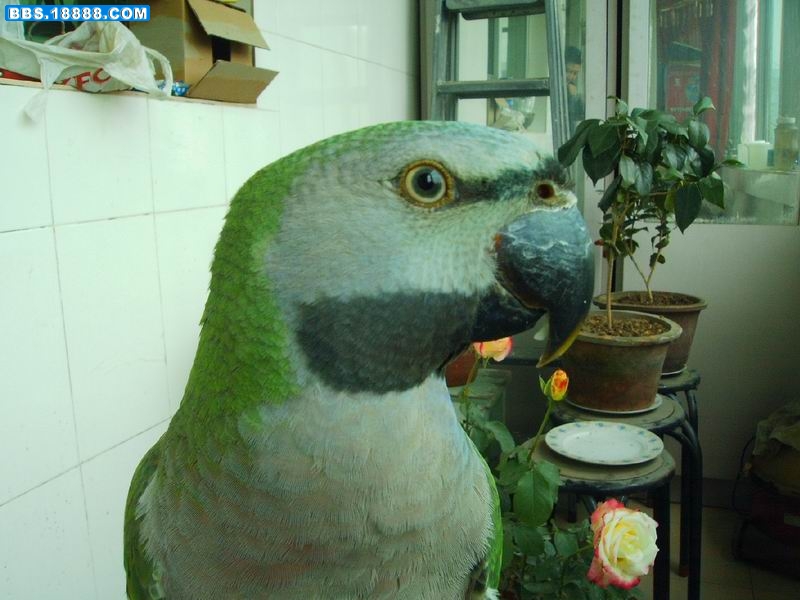 调整大小 PICT0438.JPG