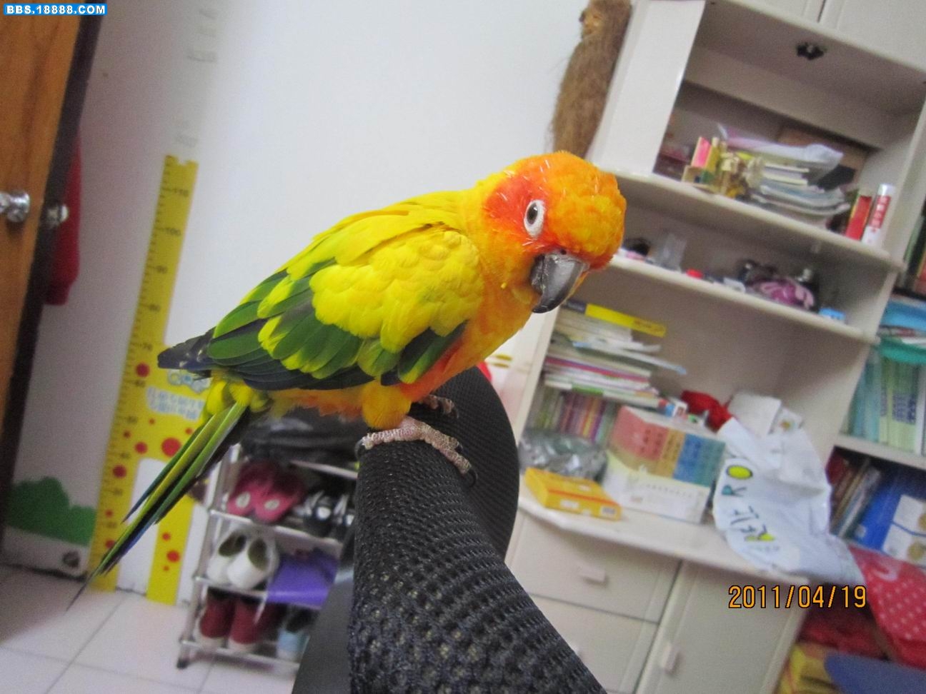 照片 247.jpg