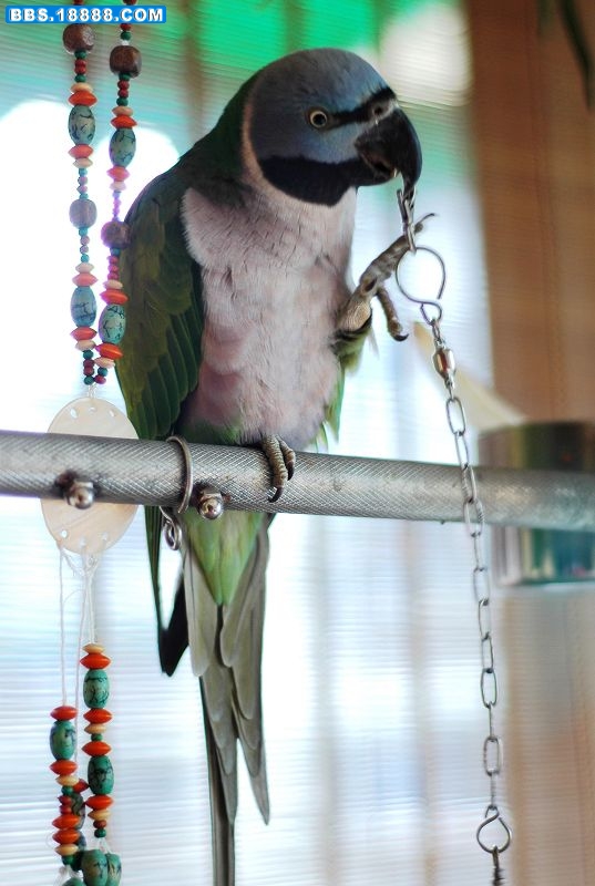 DSC_0001.JPG