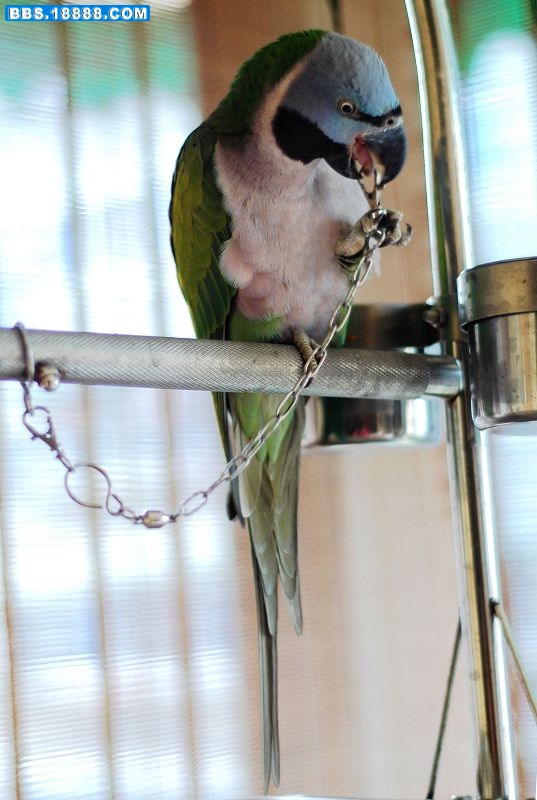 DSC_0002.JPG