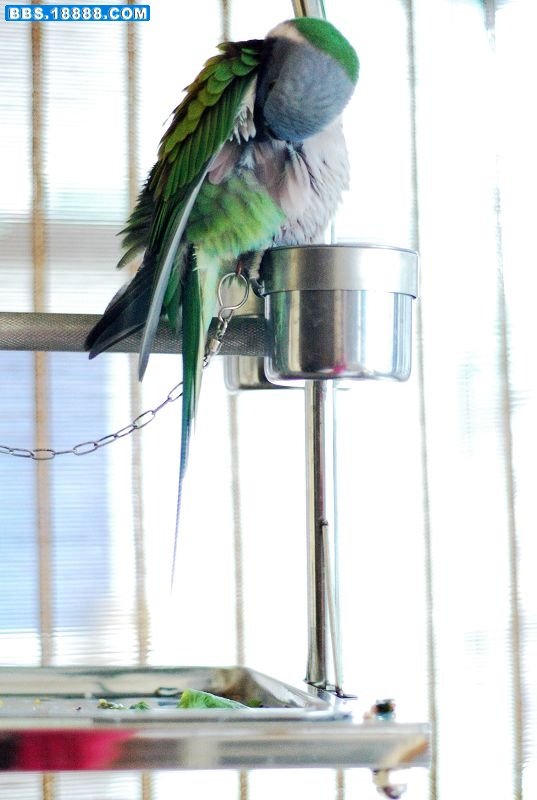 DSC_0003.JPG