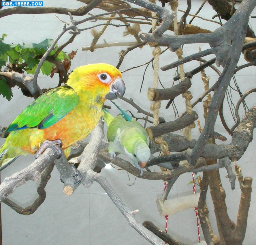SANY0038.JPG