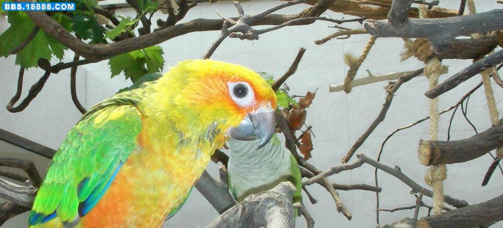 SANY0043.JPG