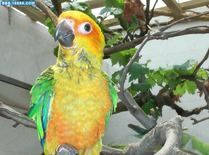 SANY0041.JPG