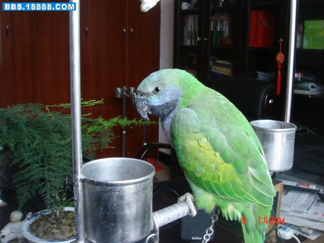 DSC00087.jpg
