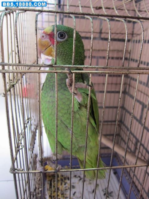 IMG_0835.jpg