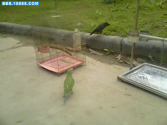 IMG0489A.jpg