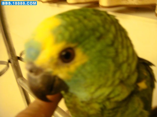 01.jpg