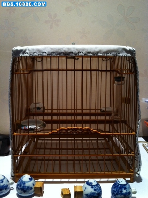 照片8.JPG