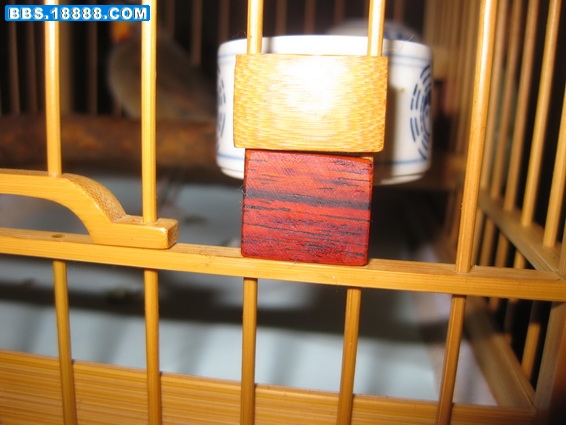 IMG_0004_调整大小.JPG