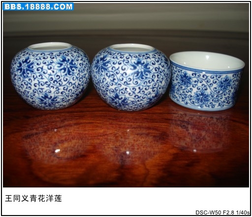 DSC03350.JPG