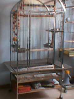 IMG0011A.jpg