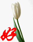 u=3469114688,3206518173&amp;fm=15&amp;gp=0.gif