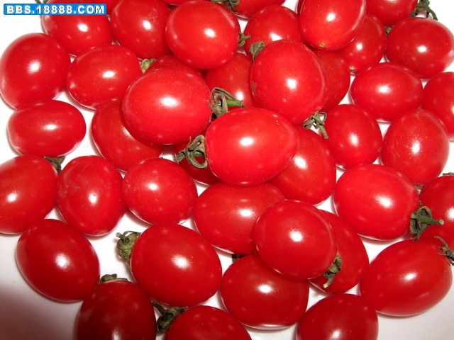 DSCF6612.jpg