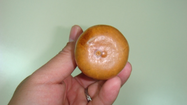 DSC04880.JPG